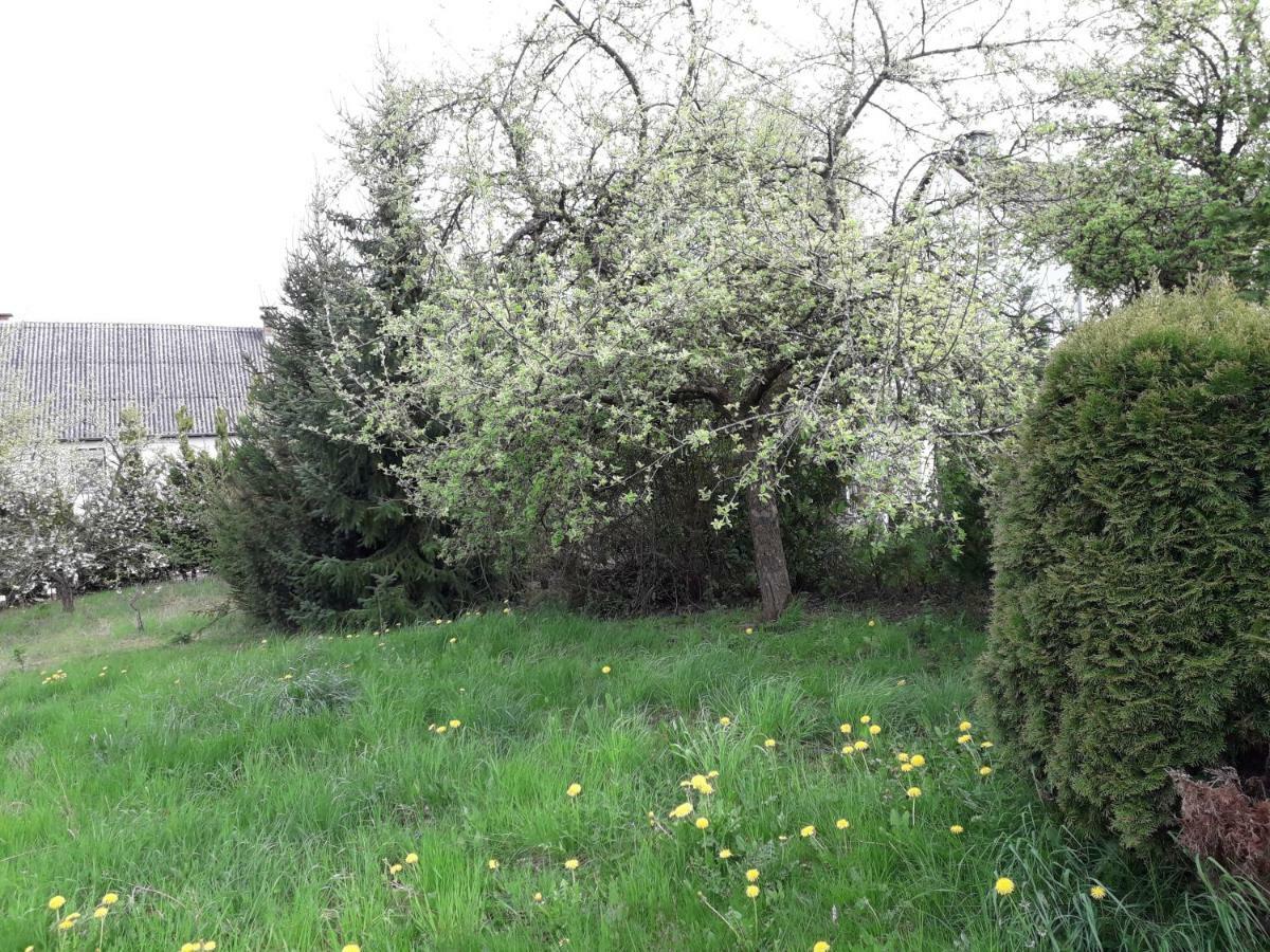 Vakantie boerderij De Boerenzwaluw Karl Buitenkant foto